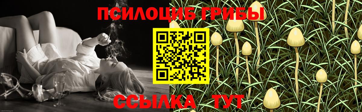 Псилоцибиновые грибы Psilocybine cubensis  Вход с VPN  Коммунар 
