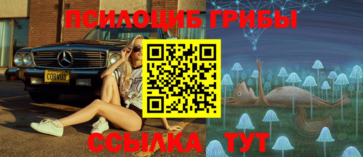 Галлюциногенные грибы мухоморы Коммунар