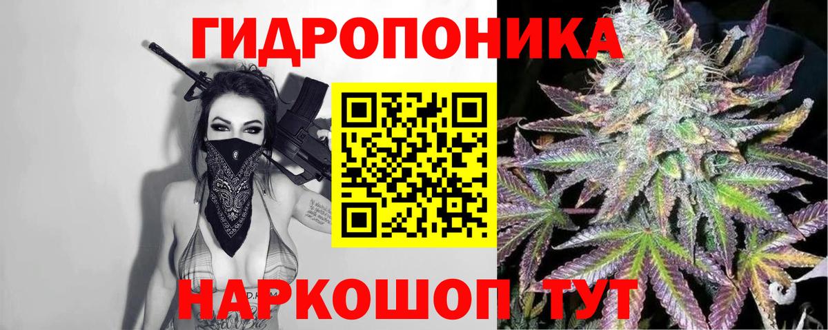 Бошки марихуана семена Коммунар